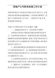 房地产公司财务经理工作计划