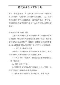 燃气安全个人工作计划