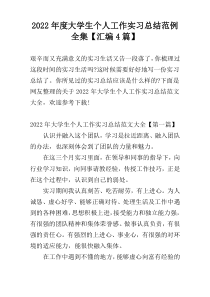 2022年度大学生个人工作实习总结范例全集【汇编4篇】
