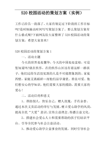 520校园活动的策划方案（实例）