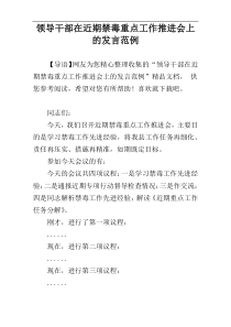 领导干部在近期禁毒重点工作推进会上的发言范例