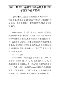 市审计局2022年度工作总结范文和2022年度工作打算范例