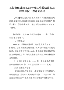 县投资促进局2022年度工作总结范文及2022年度工作计划范例