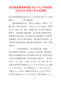 县自然资源和规划局2021年工作总结范文及2022年度工作计划范例