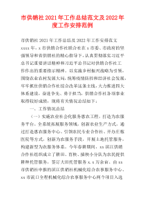 市供销社2021年工作总结范文及2022年度工作安排范例