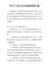 员工个人的工作计划优秀范例5篇
