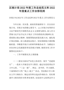 区统计局2022年度工作总结范文和2022年度重点工作安排范例