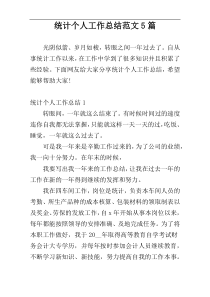 统计个人工作总结范文5篇