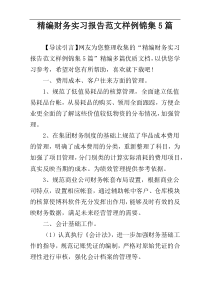 精编财务实习报告范文样例锦集5篇