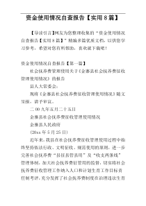 资金使用情况自查报告【实用8篇】