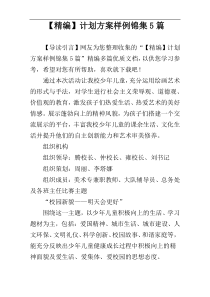 【精编】计划方案样例锦集5篇