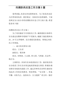 汛期防洪应急工作方案5篇