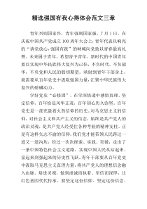 精选强国有我心得体会范文三章
