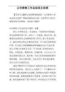 公司销售工作总结范文范例