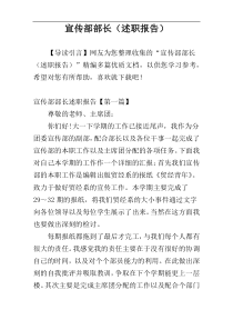 宣传部部长（述职报告）