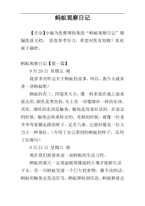 蚂蚁观察日记