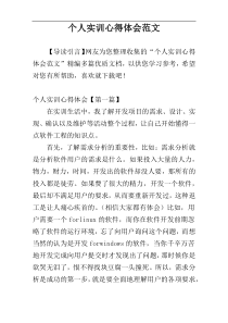 个人实训心得体会范文
