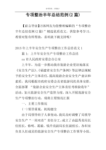 专项整治半年总结范例(2篇)