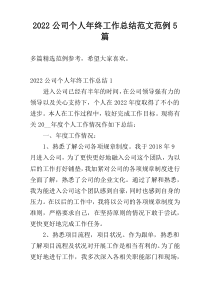 2022公司个人年终工作总结范文范例5篇