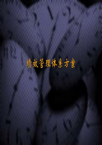 HAYGROUP－绩效管理体系方法论(3)