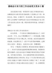 基础会计实习的工作总结范文范本5篇