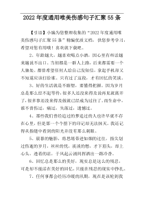 2022年度通用唯美伤感句子汇聚55条