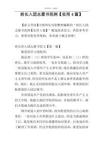 班长入团志愿书范例【实用4篇】