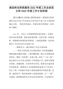 规划和自然资源局2022年度工作总结范文和2022年度工作计划范例