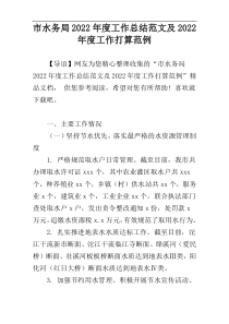 市水务局2022年度工作总结范文及2022年度工作打算范例
