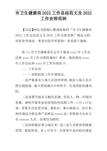 市卫生健康局2022工作总结范文及2022工作安排范例