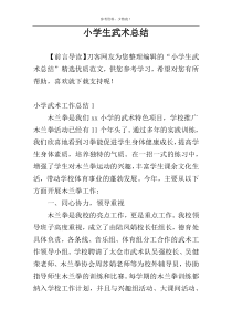 小学生武术总结