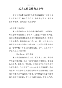 武术工作总结范文小学