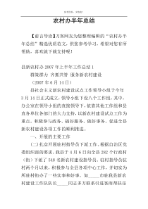农村办半年总结