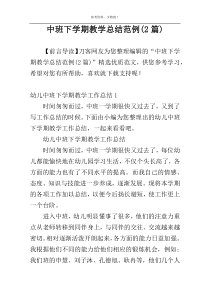 中班下学期教学总结范例(2篇)