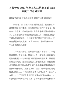 县统计局2022年度工作总结范文暨2022年度工作计划范本