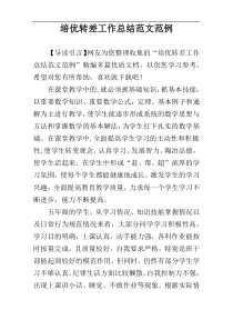 培优转差工作总结范文范例