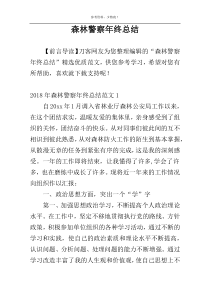 森林警察年终总结