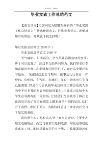 毕业实践工作总结范文