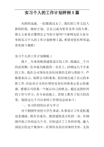 实习个人的工作计划样例5篇