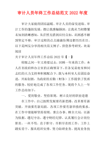 审计人员年终工作总结范文2022年度