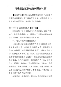 司法报告区块链范例最新4篇