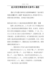 返乡报告寒假范例【参考4篇】