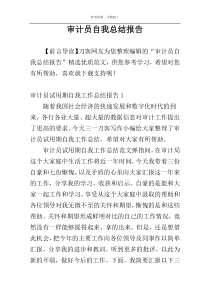审计员自我总结报告