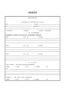 绩效考核表范例