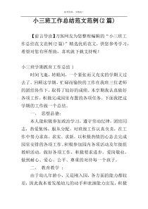 小三班工作总结范文范例(2篇)