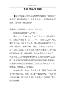 查验员年度总结