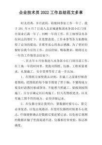 企业技术员2022工作总结范文多章