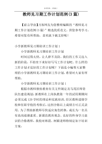 教师见习期工作计划范例(3篇)