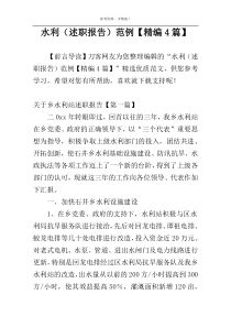 水利站（述职报告）范例【精编4篇】