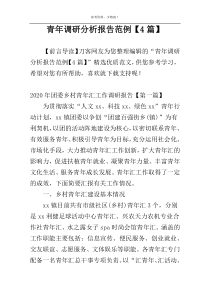 青年调研分析报告范例【4篇】